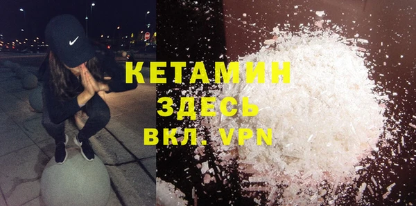 гидра Инта