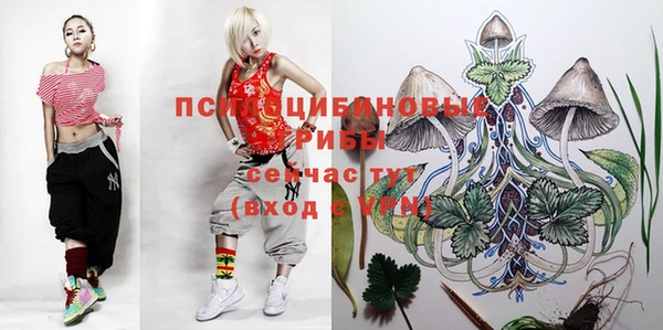каннабис Алзамай