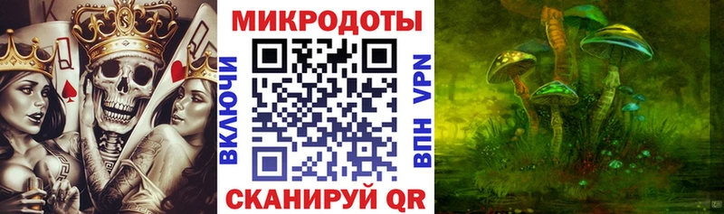Галлюциногенные грибы Psilocybe  Починок 